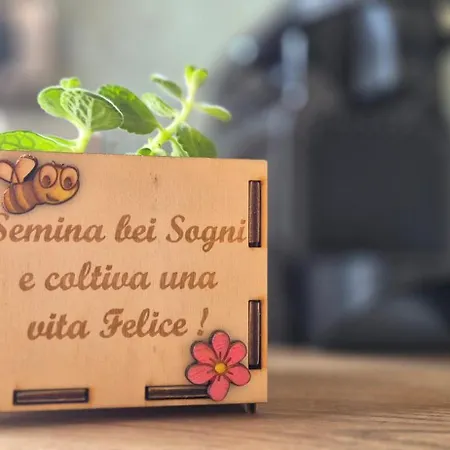 Lichia * Pula